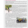 Newsletter Kony de janvier 2013